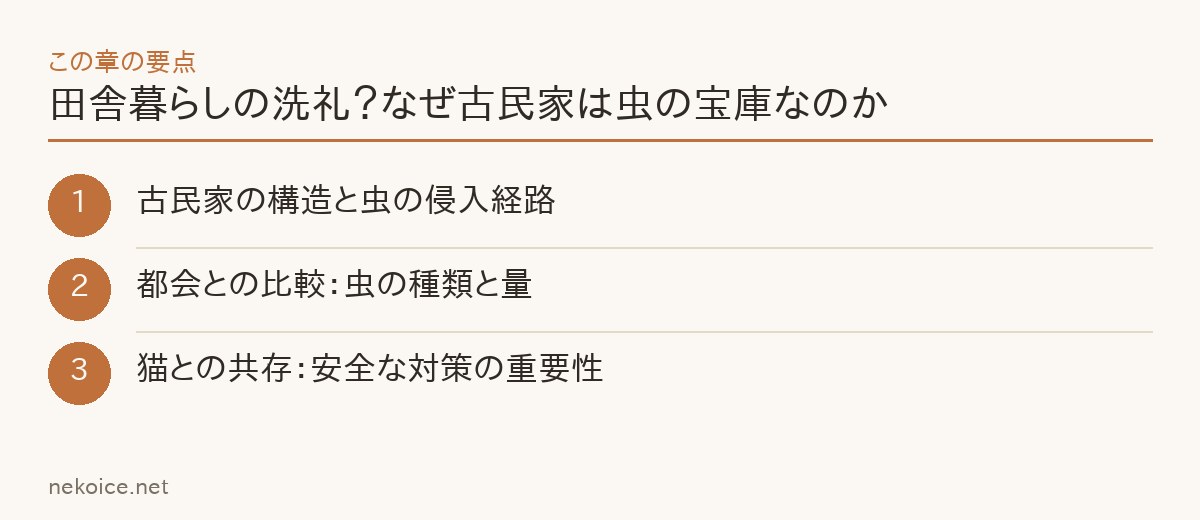 田舎暮らしの洗礼？なぜ古民家は虫の宝庫なのかの要点を整理した図